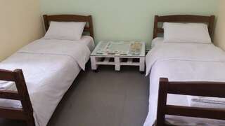 Отель Benefice Mini-Hotel & Tours Ереван Просторный двухместный номер с 2 отдельными кроватями-1