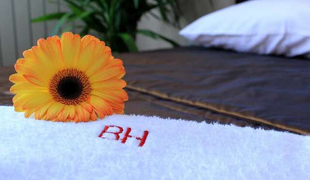 Отель Benefice Mini-Hotel & Tours Ереван-22